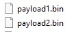Dual payload structure